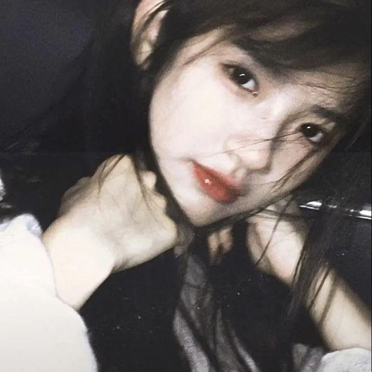 树袋熊